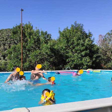 Dimora Il Camaleonte Apartments In Nature With Pool Civitavecchia Exterior foto
