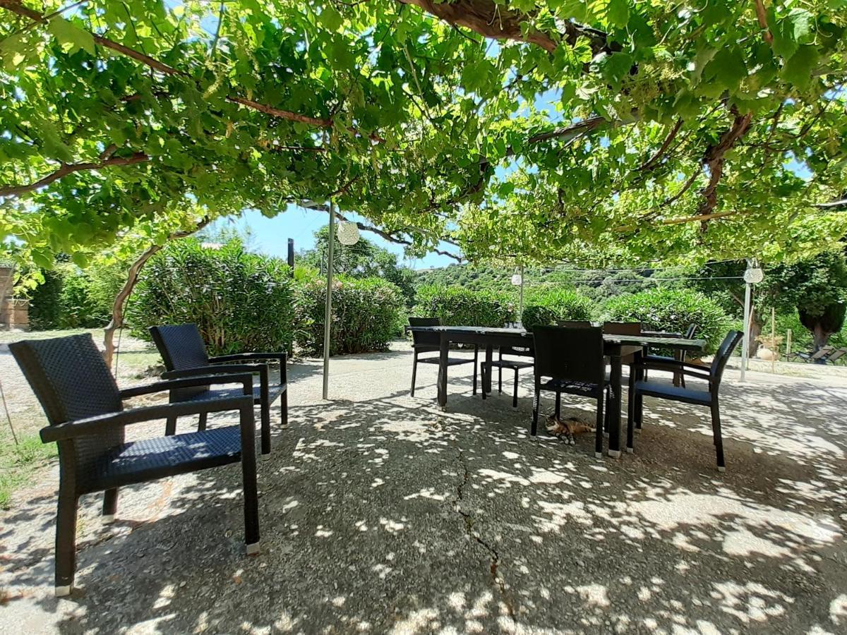 Dimora Il Camaleonte Apartments In Nature With Pool Civitavecchia Exterior foto