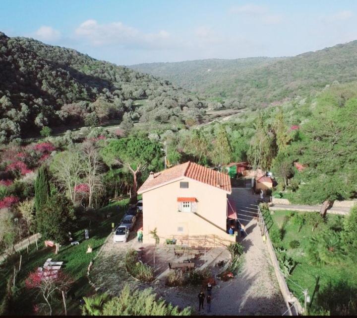Dimora Il Camaleonte Apartments In Nature With Pool Civitavecchia Exterior foto